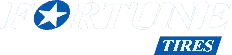 Fortune logo